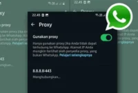 Cara Nyalain Proxy WhatsApp