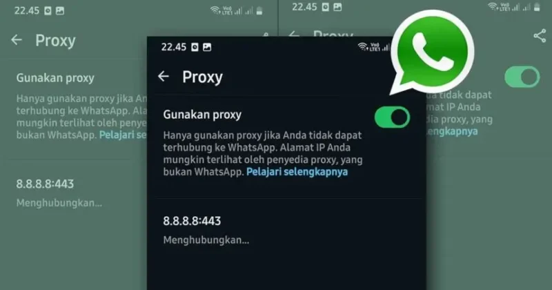 Cara Nyalain Proxy WhatsApp