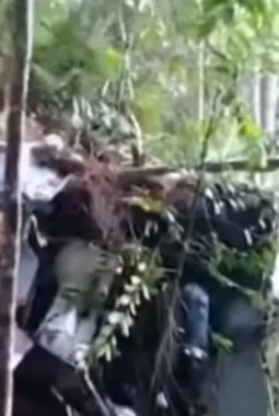 Helikopter Jatuh di Sekadau Kalbar: 8 Korban Ditemukan Tewas, Ini Kronologi Lengkapnya