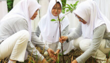 Menurut Pendapat Kalian Mengapa Pohon di Lingkungan Sekolah Sering Disebut Sebagai Paru-paru Sekolah?