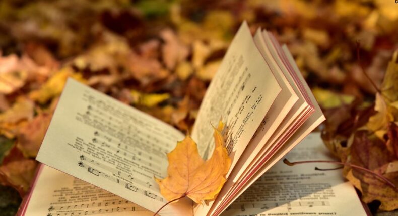 foto slider headline