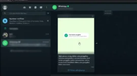 Cara Blur WA Web