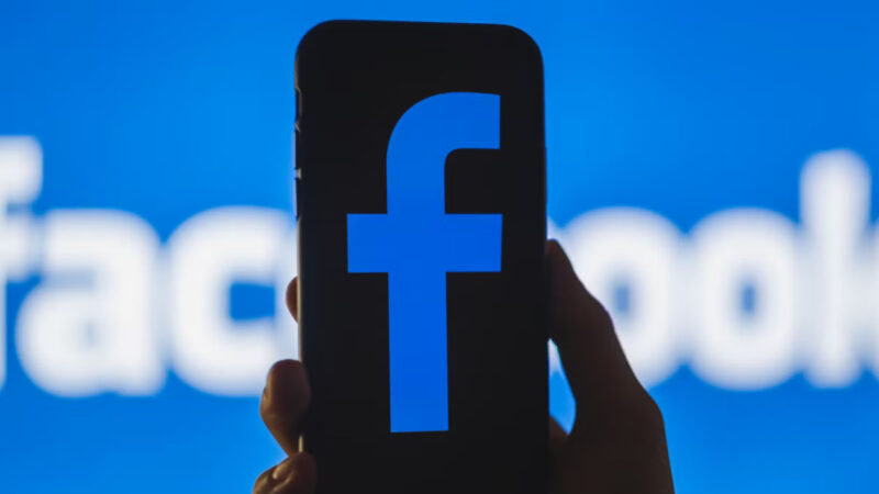 Cara Mengatur Akun Pembayaran FB Pro