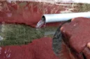 Cara Ternak Cacing Sutra