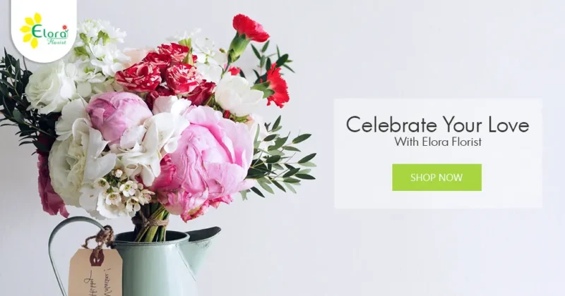 Elora Florist