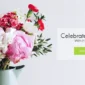 Elora Florist
