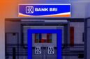 Langkah-Langkah Cara Cek Angsuran KUR BRI Lewat WA