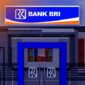 Langkah-Langkah Cara Cek Angsuran KUR BRI Lewat WA