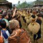 Tuliskan Saran/Masukan Anda dalam Rangka Penciptaan Harmoni Ekonomi, Sosial, Budaya, dan Keberagamaan?