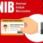 Cara Buat NIB untuk UMKM 