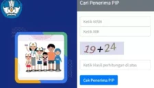 Cara Cek PIP Lewat HP 