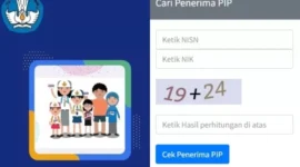 Cara Cek PIP Lewat HP 
