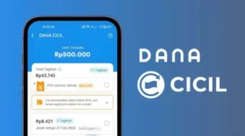Kenapa Dana Cicil Tidak Bisa Digunakan
