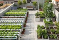 Bagaimana Urban Farming Bisa Menjadi Langkah Awal yang Baik Bagi Milenial yang Tinggal di Perkotaan untuk Memulai Karir di Green Jobs?