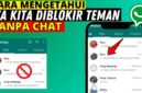 cara mengetahui WA kita diblokir tanpa chat