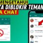 cara mengetahui WA kita diblokir tanpa chat