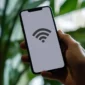 Kenapa Wifi Tidak Bisa Tersambung