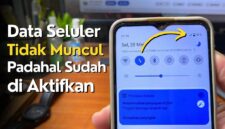 Kenapa Data Seluler Tidak Bisa Digunakan Padahal Sudah Diaktifkan?