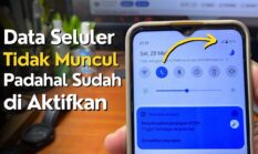 Kenapa Data Seluler Tidak Bisa Digunakan Padahal Sudah Diaktifkan? Ini Solusinya!