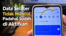 Kenapa Data Seluler Tidak Bisa Digunakan Padahal Sudah Diaktifkan?