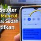 Kenapa Data Seluler Tidak Bisa Digunakan Padahal Sudah Diaktifkan?