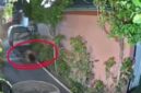 Mesum Orang Asing di Depan Rumah Warga