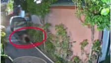 Mesum Orang Asing di Depan Rumah Warga