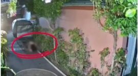 Mesum Orang Asing di Depan Rumah Warga