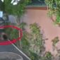 Mesum Orang Asing di Depan Rumah Warga