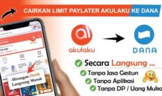 2 Cara Cairkan Limit Akulaku ke Dana dengan Cepat dan Mudah
