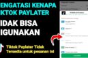 Cara Mengatasi TikTok PayLater Tidak Bisa Digunakan