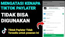Cara Mengatasi TikTok PayLater Tidak Bisa Digunakan