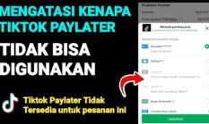 Penyebab dan Cara Mengatasi TikTok PayLater Tidak Bisa Digunakan