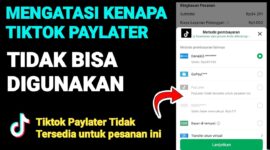 Cara Mengatasi TikTok PayLater Tidak Bisa Digunakan