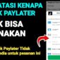 Cara Mengatasi TikTok PayLater Tidak Bisa Digunakan
