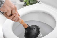 Cara Mengatasi WC Mampet