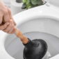 Cara Mengatasi WC Mampet