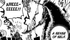 One Piece Chapter 1195